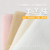 加厚保暖羊羔毛布料泰迪绒珊瑚绒毛绒里布内衬玩偶绒布外套面料