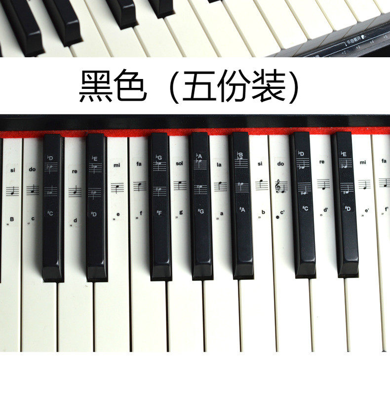 钢琴键盘贴纸88/61/54电子琴贴五线谱键盘手卷钢琴贴膜音准贴纸