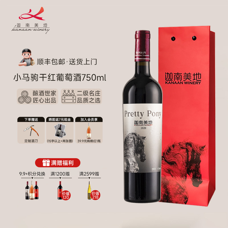 【官方正品】迦南美地小马驹赤霞珠美乐干红葡萄酒宁夏红酒2020年