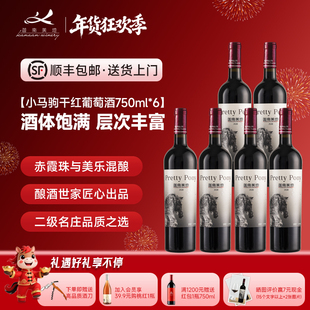 【官方正品】迦南美地小马驹赤霞珠美乐干红葡萄酒2020年  整箱