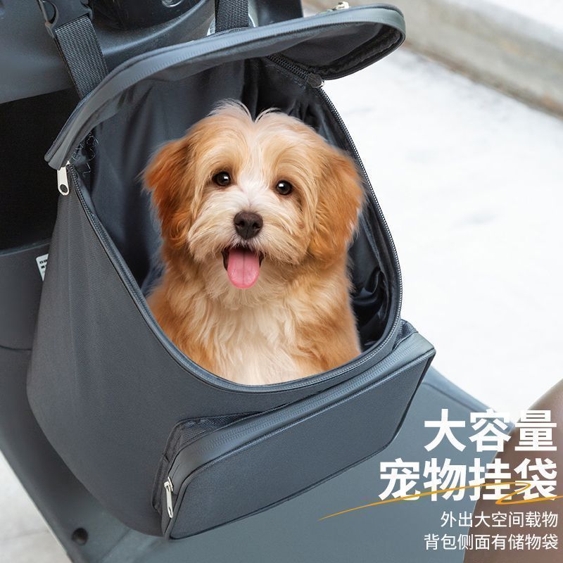电动车带狗狗神器猫包咪