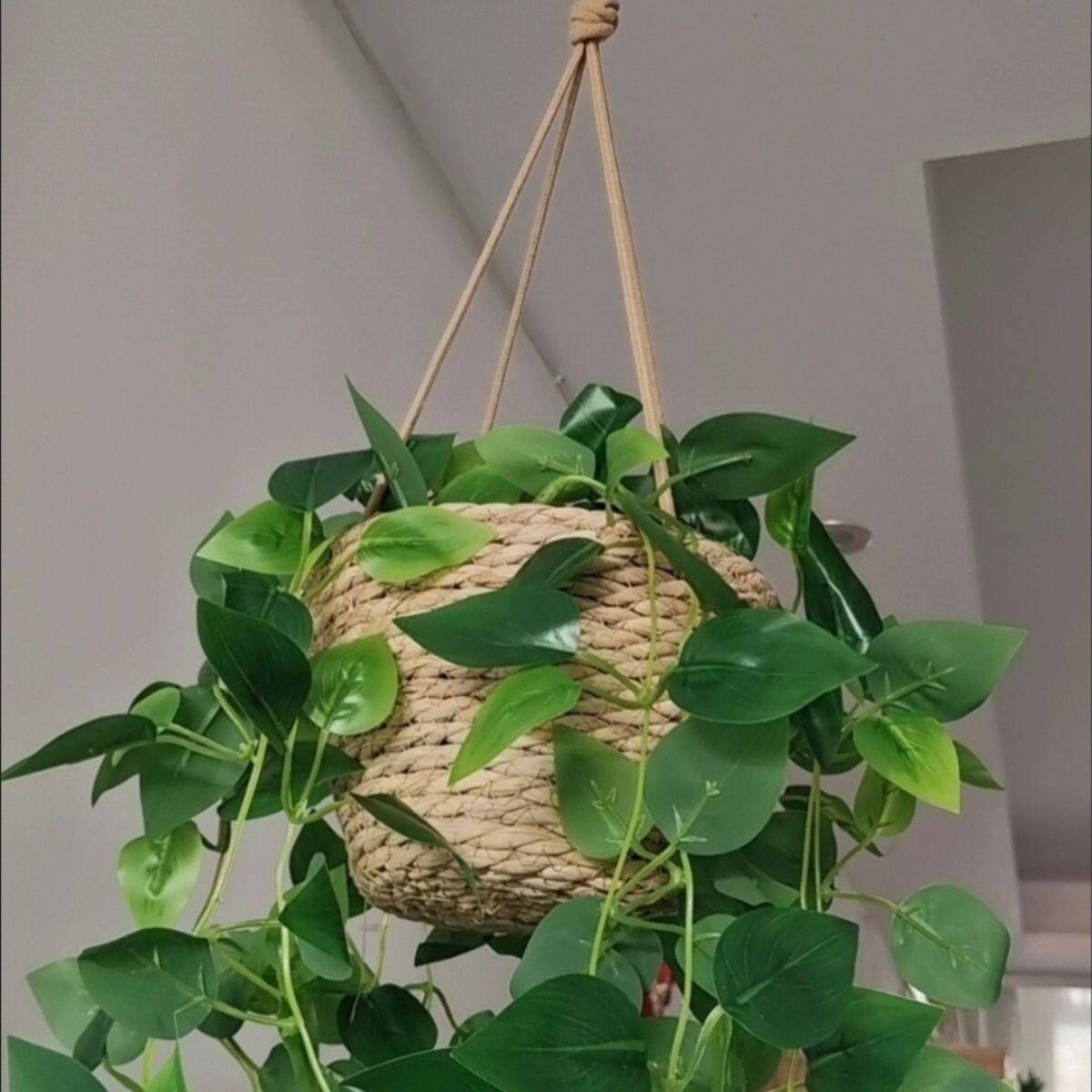 框壁挂绿植藤编编织草编