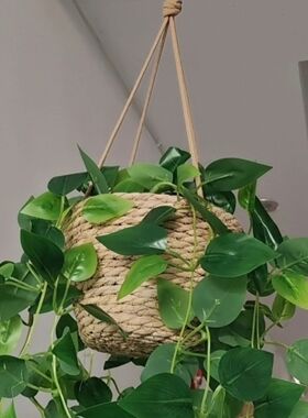 框壁挂绿植藤编编织草编