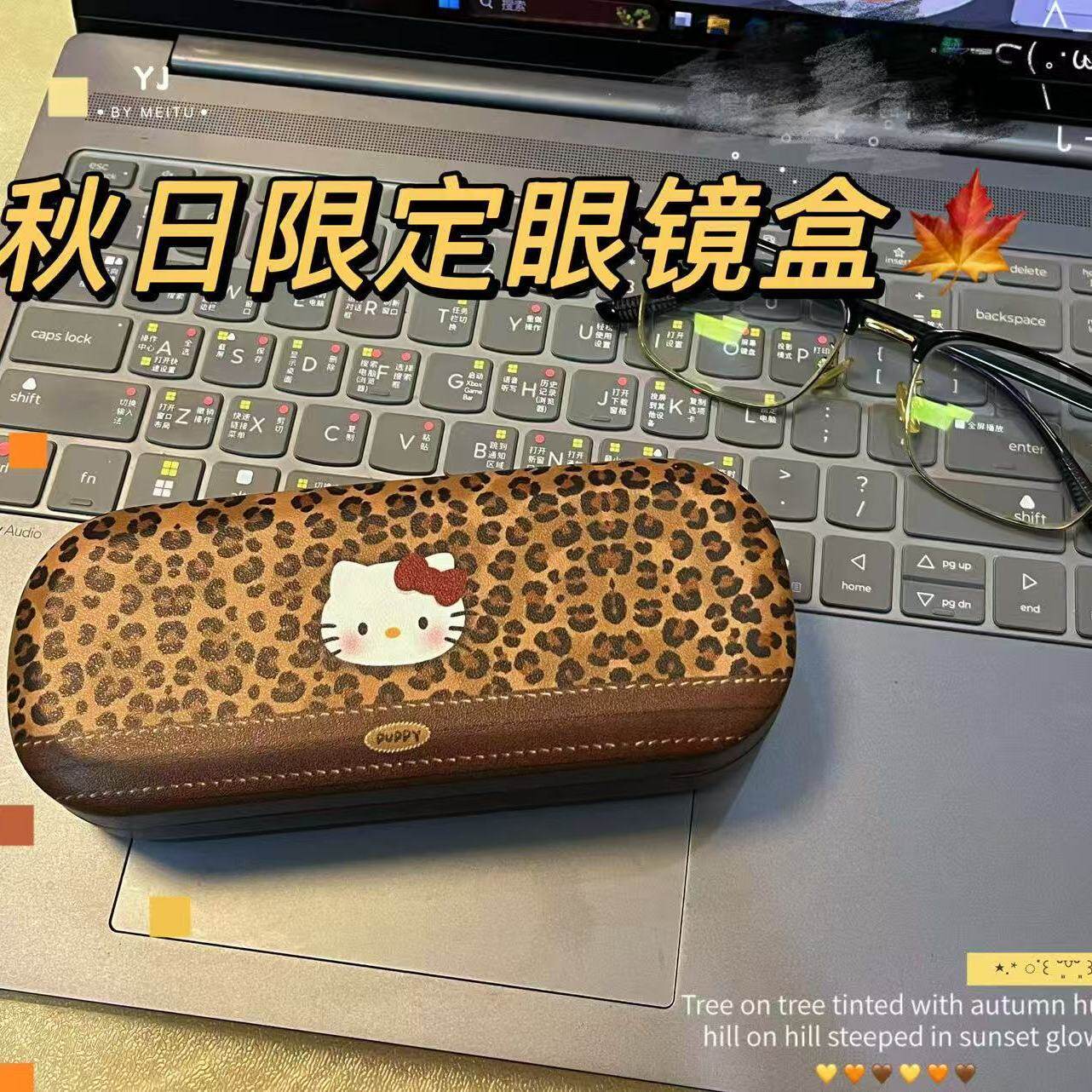 户外眼镜盒高颜值简约韩