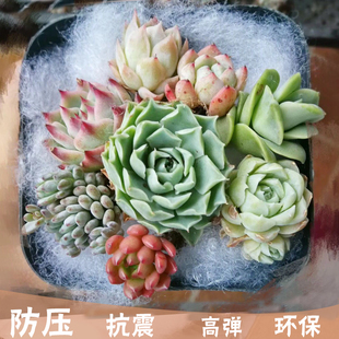 高弹PP棉珍珠棉填充棉丝棉花多肉植物打包棉防压抗震保温坐垫靠背