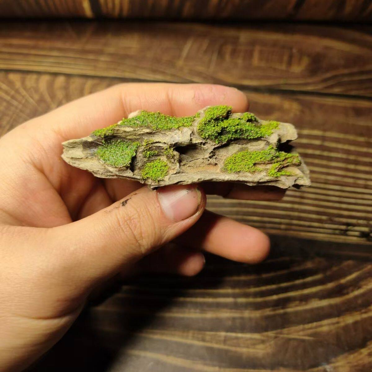 鱼缸里的装饰品仿真苔藓