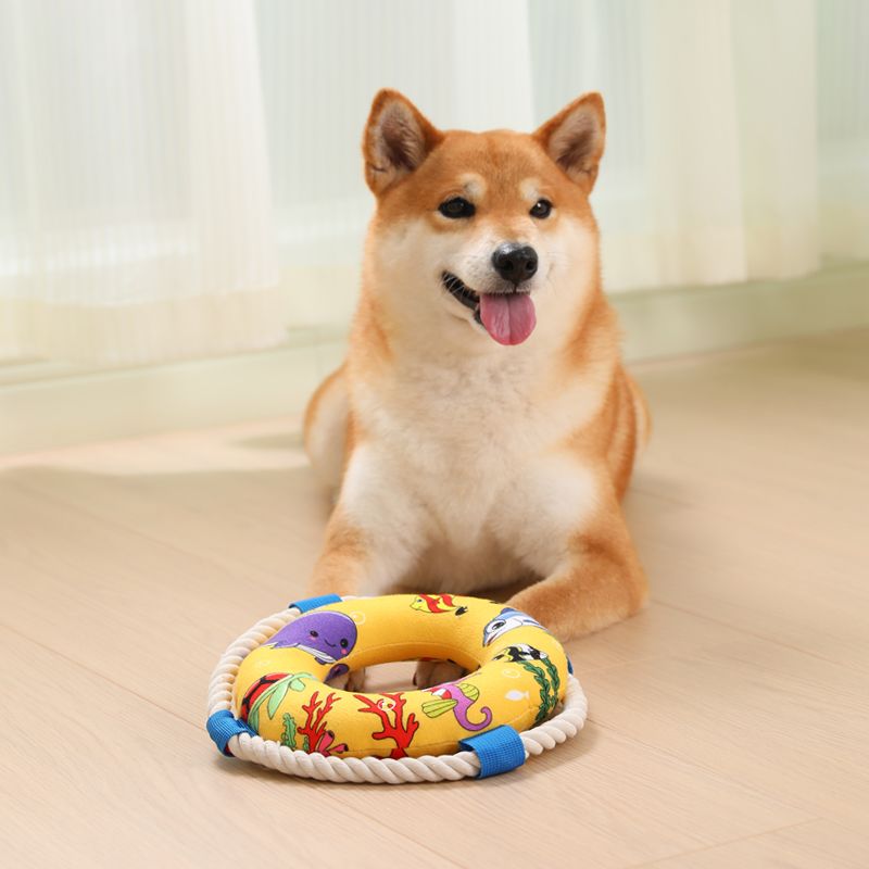 狗狗游泳圈磨牙耐咬棉绳
