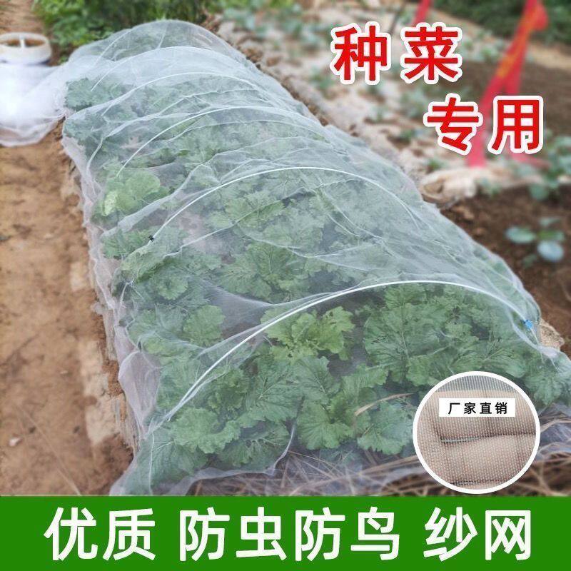 盖苗罩防虫网种菜专用网8
