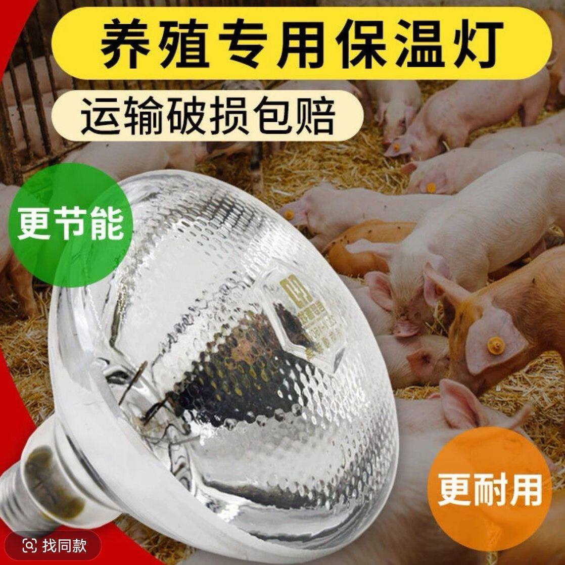 阳台晒物网养殖保温灯猪用饮水嘴洗澡仔猪小鸡小鸭子太阳能兔子加