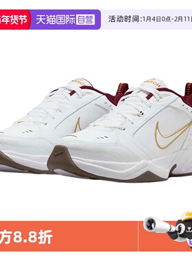 【自营】耐克男女同款AirMonarch M2K老爹鞋休闲跑步鞋IB4607-171