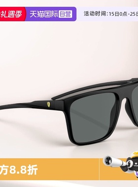 【自营】Ferrari/法拉利户外遮阳运动墨镜6006F偏光复古椭圆方形