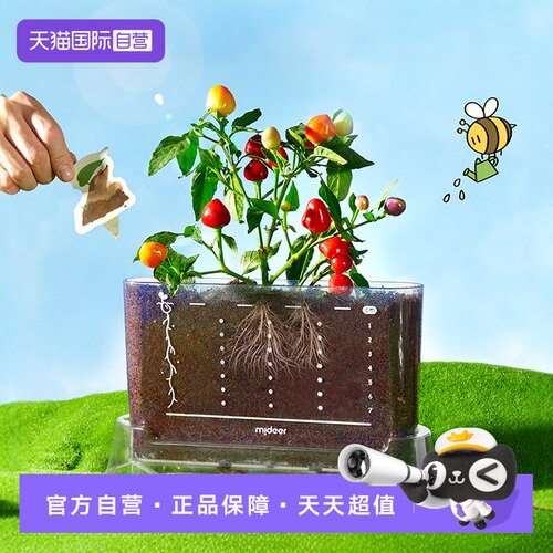 mideer弥鹿阳光房种植儿童