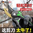 修枝剪园艺剪剪树枝果树专用剪刀修枝花卉果木葡萄剪子工具大全