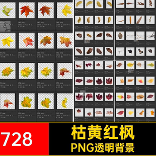 树枝树叶叶子单片绿叶秋季透明PNG透明背景枯黄秋天抠落叶72