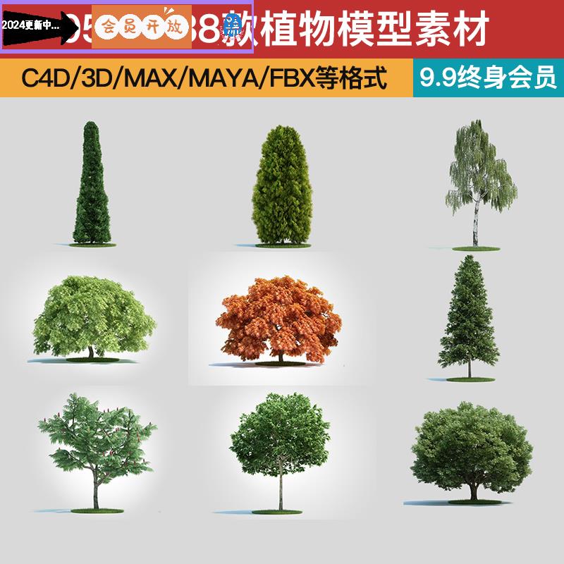 maya C4D FBX OBJ 3D 树木椴树油松柏树梨树雪松红枫橡树柳树模型