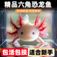 网红六角蝾螈恐龙鱼淡水冷水鱼观赏鱼宠物鱼苗锦鲤鱼水族宠物鱼