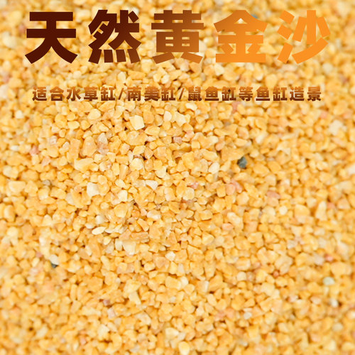 黄金底沙造景沙子黄金沙