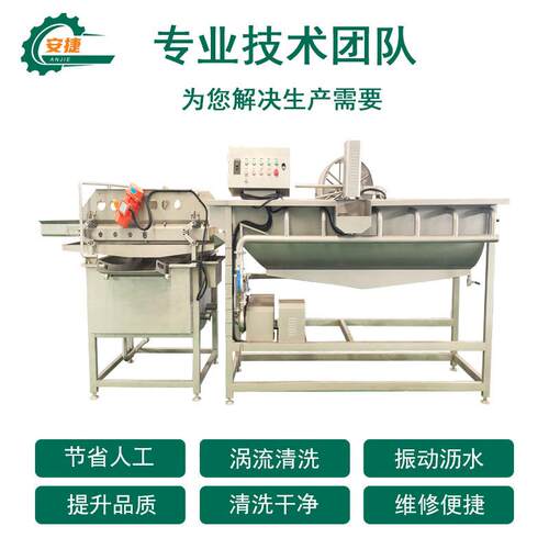 连续式果蔬气泡清洗机大型备季豆清洗四设HOX商太子参气泡用清洗