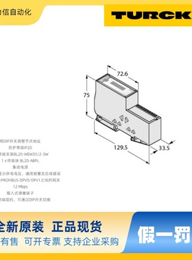 现货 TURCK图尔克 BL20电子模块BL20-E-GW-DP 原厂现发 顺丰包邮