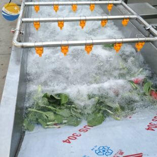 扁豆清洗振动布料常温去水机 厂家 可定制多功能洗菜机流水线