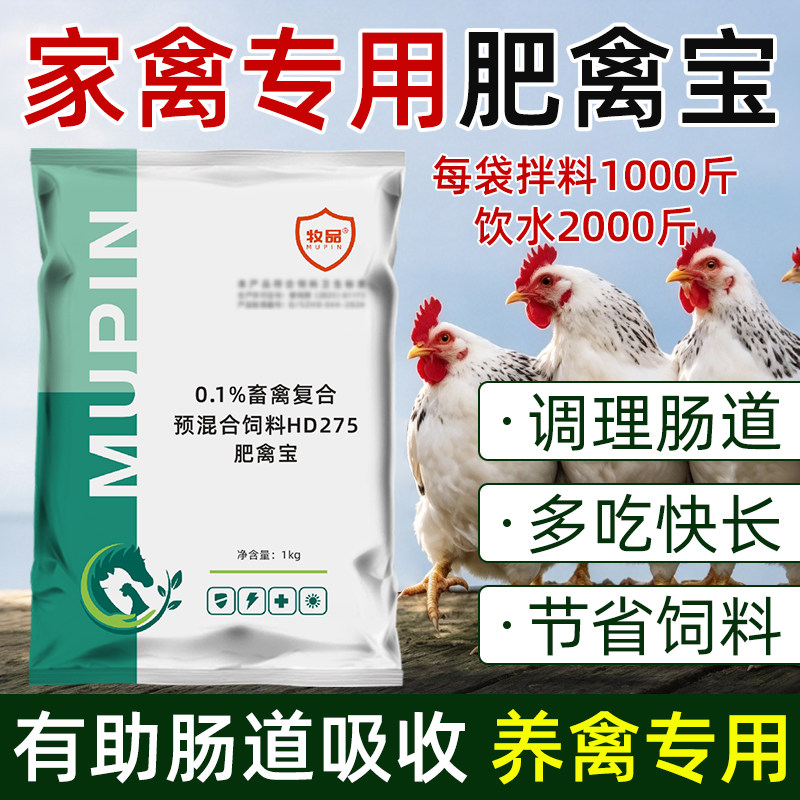 禽类催肥提前出栏养殖增加收益