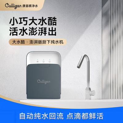 康丽根大水酷净水器家用自来水过滤直饮机RO反渗透净水机1000G