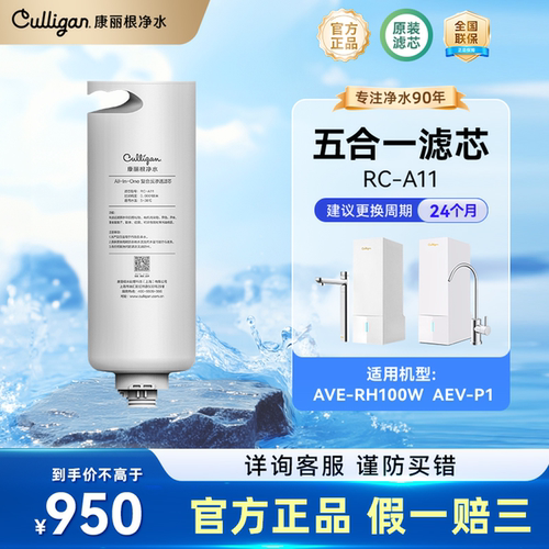 神龙即热净水器康丽根