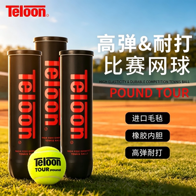 Teloon天龙网球poundP4高弹力耐打耐磨有压比赛训练球灌装4粒装