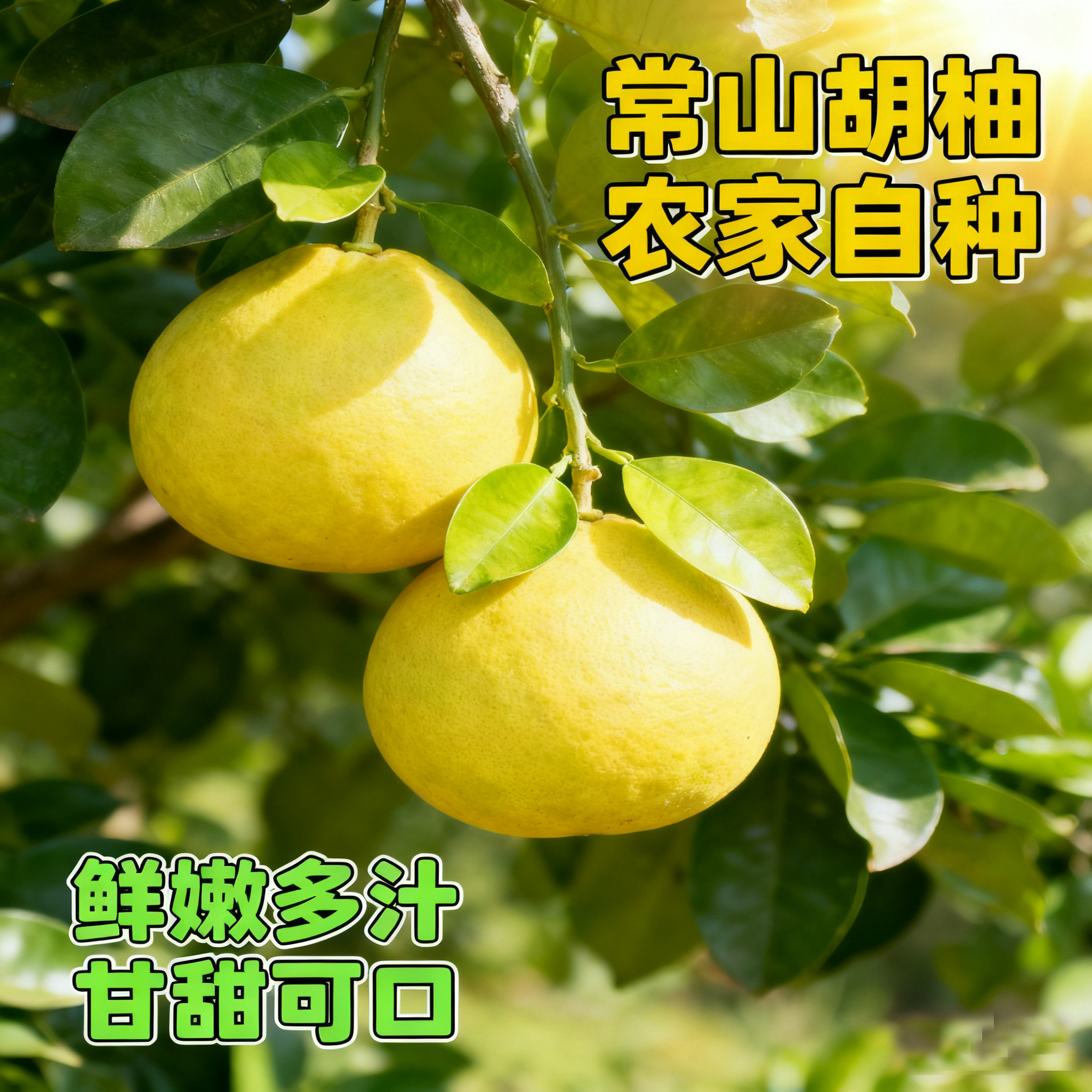 2025年新鲜采摘常山胡柚农家自种绿色食品酸甜口感柚子红柚水分足