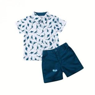 Boy Outfs Kids Summer Clothes Dinosaur Pattern Short跨境