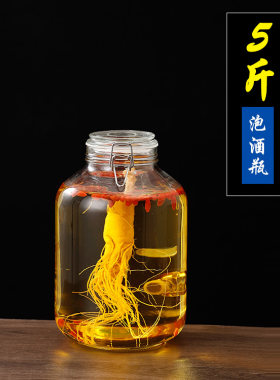 玻用空瓶密杨梅自酿器葡罐酒桶