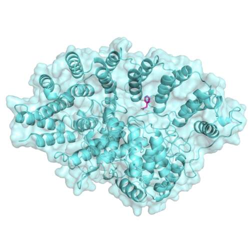 网络药理学代做 分子对接 批量分子对接 小分子筛选