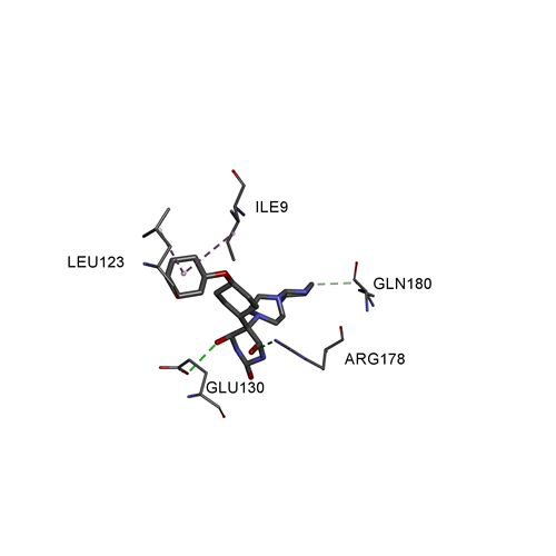 分子对接/虚拟药物筛选/结合能计算/批量对接