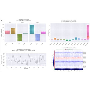 分子动力学模拟