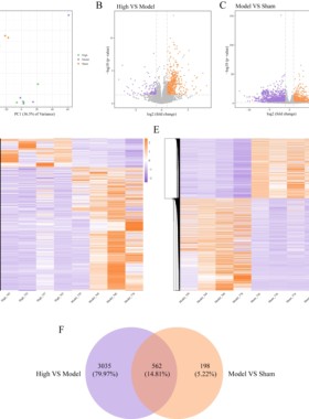 R语言代码Rstudio绘图SCI科研生信医学桑基热图数据分析作图教程