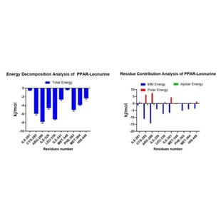 分子对接 分子动力学模拟 MMGBSA结合自由能计算