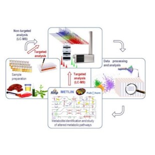 LCMS检测 液相色谱质谱分析检测 代谢组学 脂质组学 蛋白组学