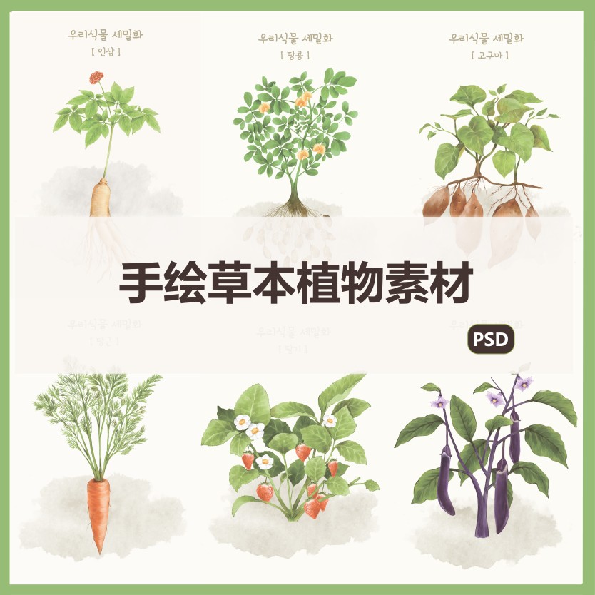 手绘蔬菜洋葱茄子 水果草莓花生红薯 草本植物蒲公英插画psd素材