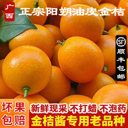 广西阳朔金桔油皮金桔鲜果直发正宗老品种麻皮金桔新鲜酸甜金桔酱