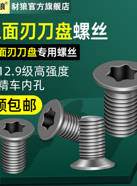 三面刃刀盘梅花螺丝12.9级高强度M4x4.1/5.1/6.1/7.1数控刀具螺丝