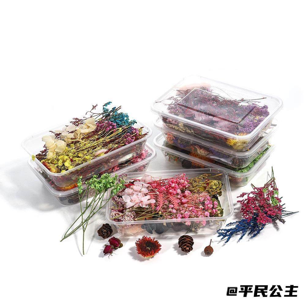 干花包天然花手工真花自制干花材料花艺礼品团扇小花束团建材料包,家居饰品,干花/花瓣/干花包/干树枝,淘宝优惠券,粉丝福利购,淘宝优惠卷