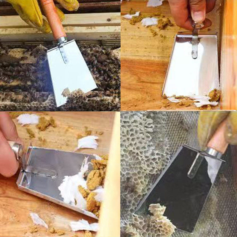 清洁工具养蜂花粉铲养蜂工具蜂具取蜡铲取蜡取粉清理铲不锈钢铲