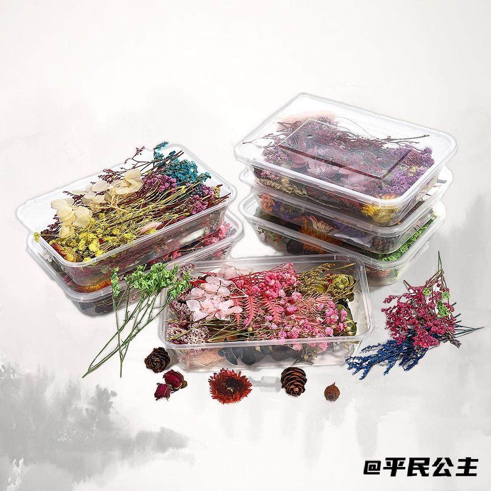 DIY干花材料花艺制作材料材料永生混合装花盒干花包礼品花材,家居饰品,干花/花瓣/干花包/干树枝,淘宝优惠券,粉丝福利购,淘宝优惠卷