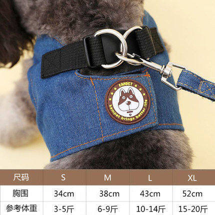 专用马尔济斯布偶小型犬外出