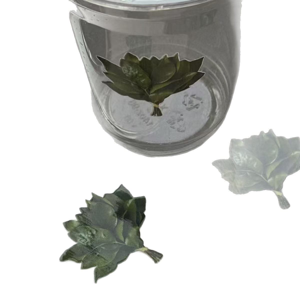 简约装饰品柚子叶贴纸转印贴防水贴仿真牢固insins风汽车,节庆用品/礼品,创意贴纸,淘宝优惠券,粉丝福利购,淘宝优惠卷