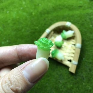 迷你小白菜小号蔬菜模型手办玩偶微观世界摆件桌面饰品树脂工艺品