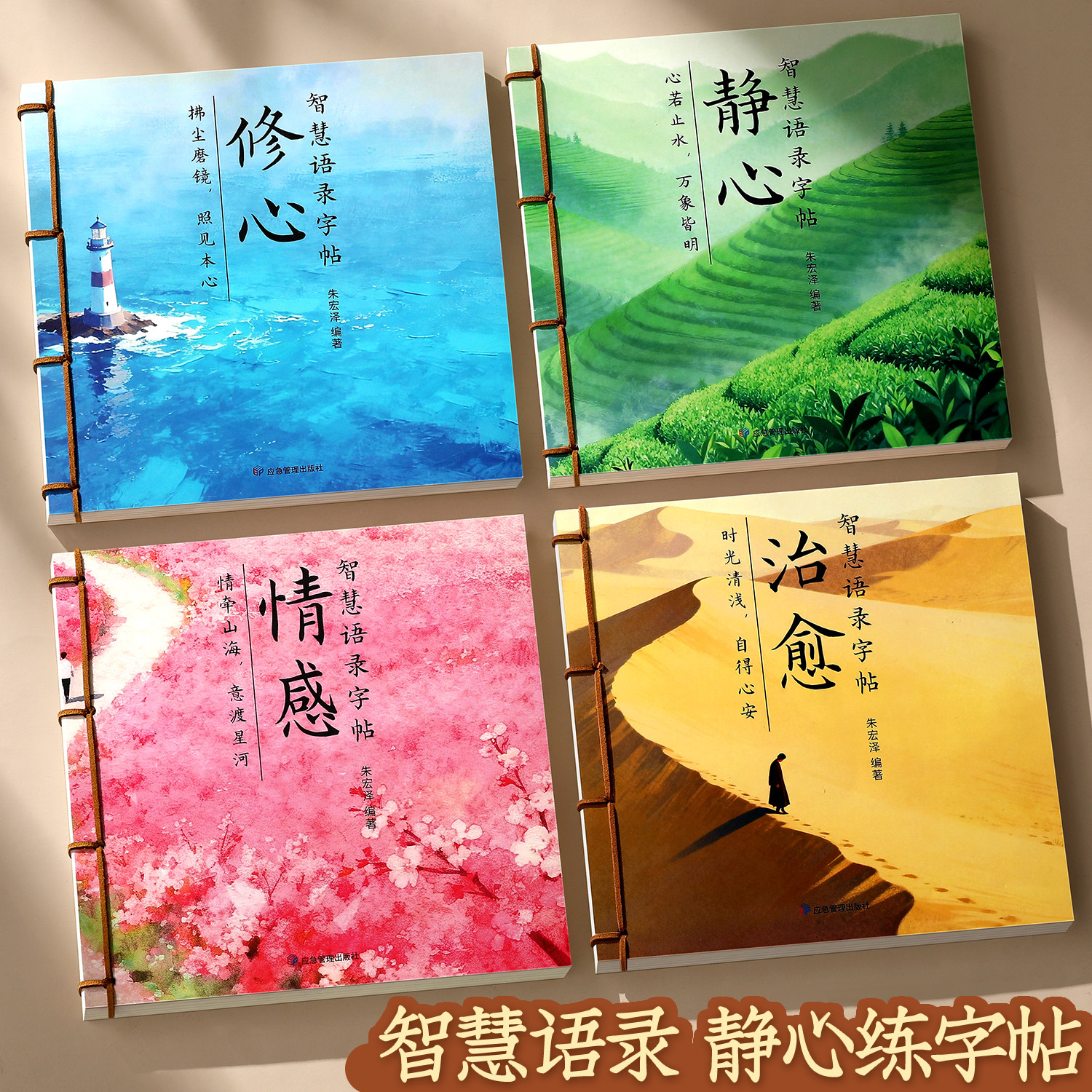 智慧语录字帖成人练字静心修心大人行楷手写体行书女生女士字体漂亮反复使用练字帖楷书专用钢笔每日一练字贴大学生硬笔书法练字本