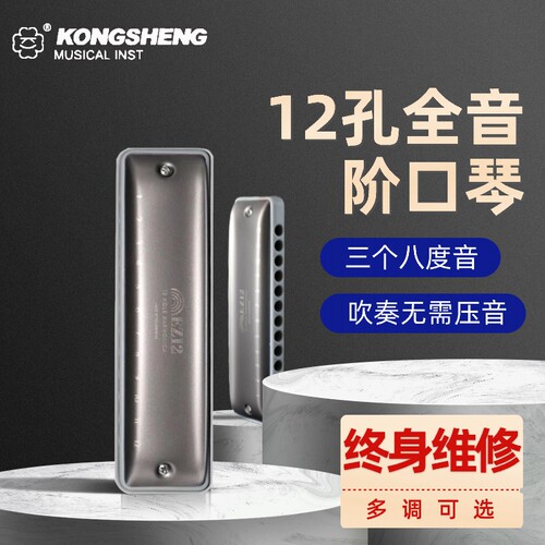 12孔全音阶布鲁斯口琴