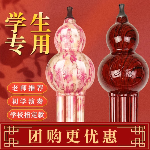 民族葫芦丝初学者调降儿童