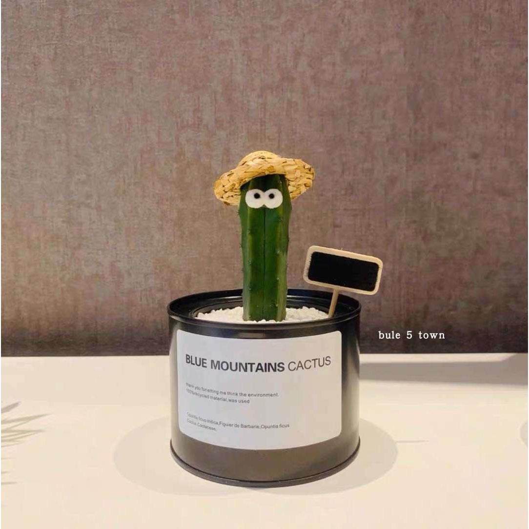 ins北欧工业风多肉植物铁罐金属罐防辐射仙人掌办公室摆设小盆栽,橡塑材料及制品,其他塑料制品,淘宝优惠券,粉丝福利购,淘宝优惠卷